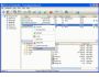 Smart CD Catalog Professional 2.50