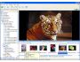 Photo Media Universe Network 2.03