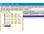 Projetex - Project Management Software for Translation Agencies 2006