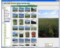 PixFiler 5.2.0