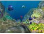 3D Coral World screensaver 2.3