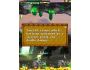 Atomic Battle Dragons Pocket 1.05