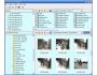 One Cat File Manager 3.01