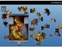 Leonardo Da Vinci Free Puzzle Game 1.5
