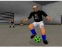 Grass Roots 1.3