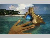 CONCH