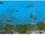 Arid Ocean 1.0