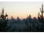Magic of Morning 1.1