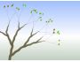A Tree for all Seasons 1.0