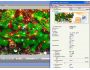 AlphaPlugins FirTree 1.01