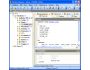 FireBird Maestro 8.7