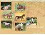 Horses World Screensaver 1.0