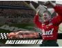 Free Dale Jr. Screensaver 1.0