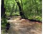 Babbling Brook 2.0