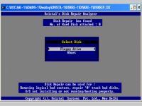 Disk Repair Software