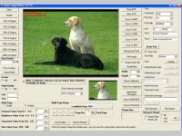 Image ActiveX OCX - Image Viewer CP Pro
