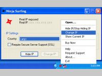 Ninja Surfing Hide IP