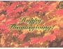 Free Thanksgiving Screen Saver Captura de pantalla