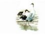 Free Artistic Birds Screensaver 1.01