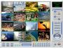 H264 WebCam Pro 2.32