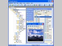 MaxDB Maestro