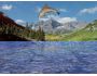 free 3D Dolphin Aqua 3.75