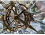 Ice Clock 3D Screensaver 1.0