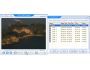 DVD To RM Converter 1.00