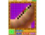 BrickGenius for Pocket PC 1.10