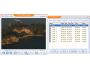 DVD To WMA Converter 1.00.1