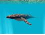 Underwater World 3D Screensaver 1.01
