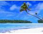 Tropical Beach Living Desktop 1.0.0