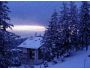 SnowFall Living Desktop screenshot