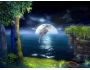 3D Dolphins Screensaver 1.0