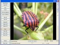 GdViewer Pro OCX - Image Viewer ActiveX