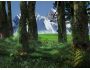 3D Forest Screensaver 1.0