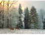 Snowland Screensaver 1.0