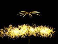 Free 3d Fireworks