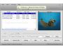 1st iPod to PC Transfer 4.0
