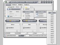 DynamicSkinForm VCL
