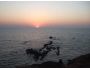 7art Goa Trip ScreenSaver 2.3