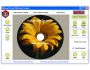 Easy CD & DVD Cover Creator and Disc Label Maker 4.12