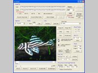 x360soft - Image Viewer ActiveX OCX