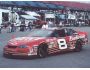Free Dale Jr. Celebrity Screensaver 1.0