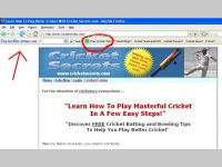 How To Play Cricket: CricketSecrets.com Tool Bar