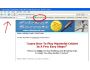 How To Play Cricket: CricketSecrets.com Tool Bar 1.0