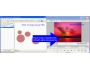 SWF To Video Scout PRO 1.30