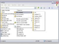 Chameleon Folder