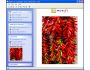 MobiFX for Nokia Phones 1.0