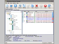 Chameleon Startup Manager